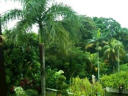 Cluny Road (D10), Detached #460731371